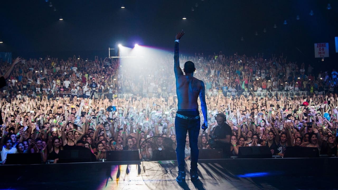 Chris Brown: Welcome To My Life