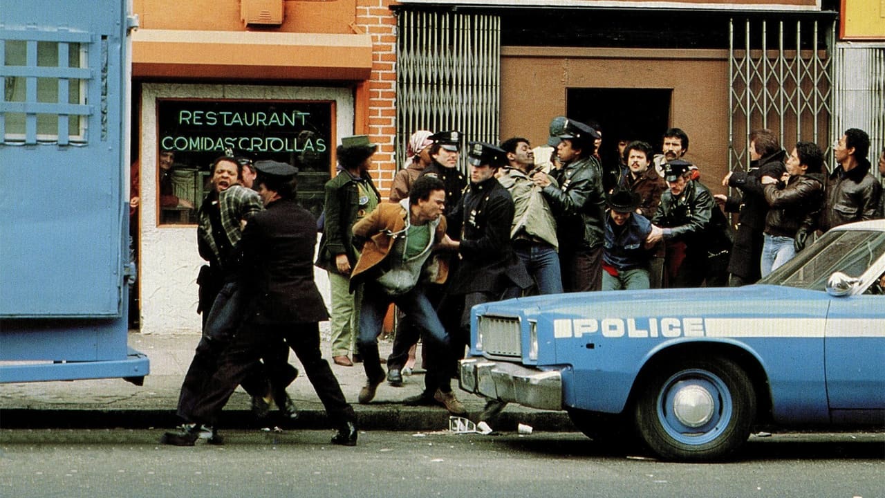 Fort Apache the Bronx