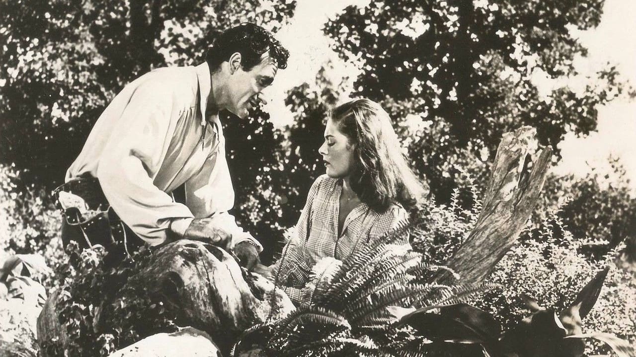 Beauty and the Bandit