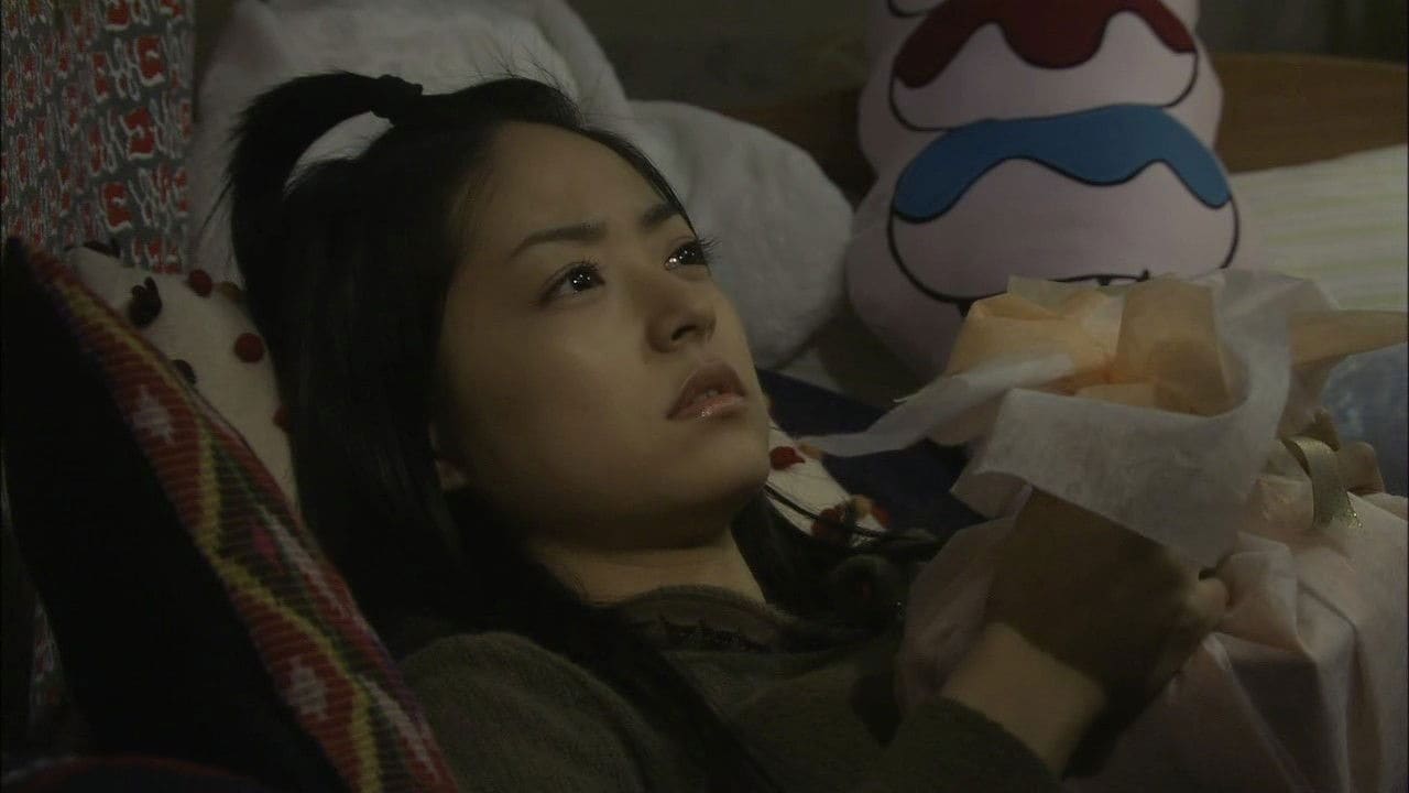 Hana yori dango: Fainaru