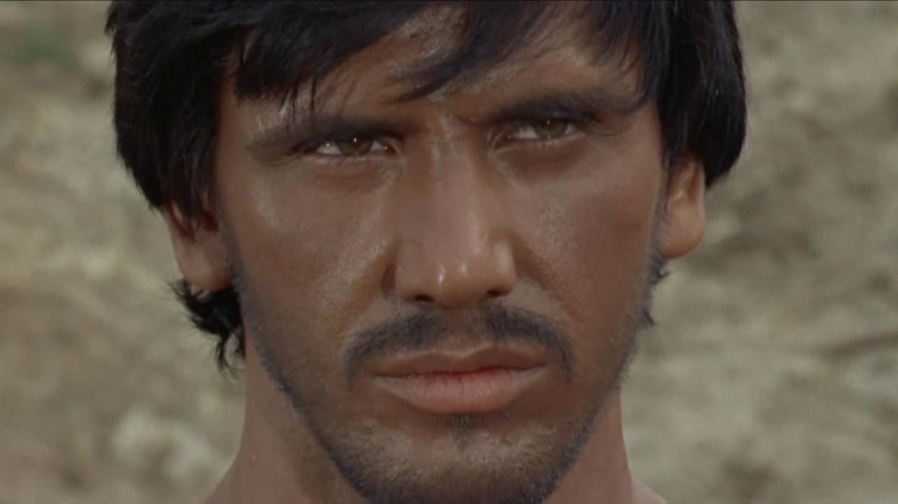 Django the Last Killer