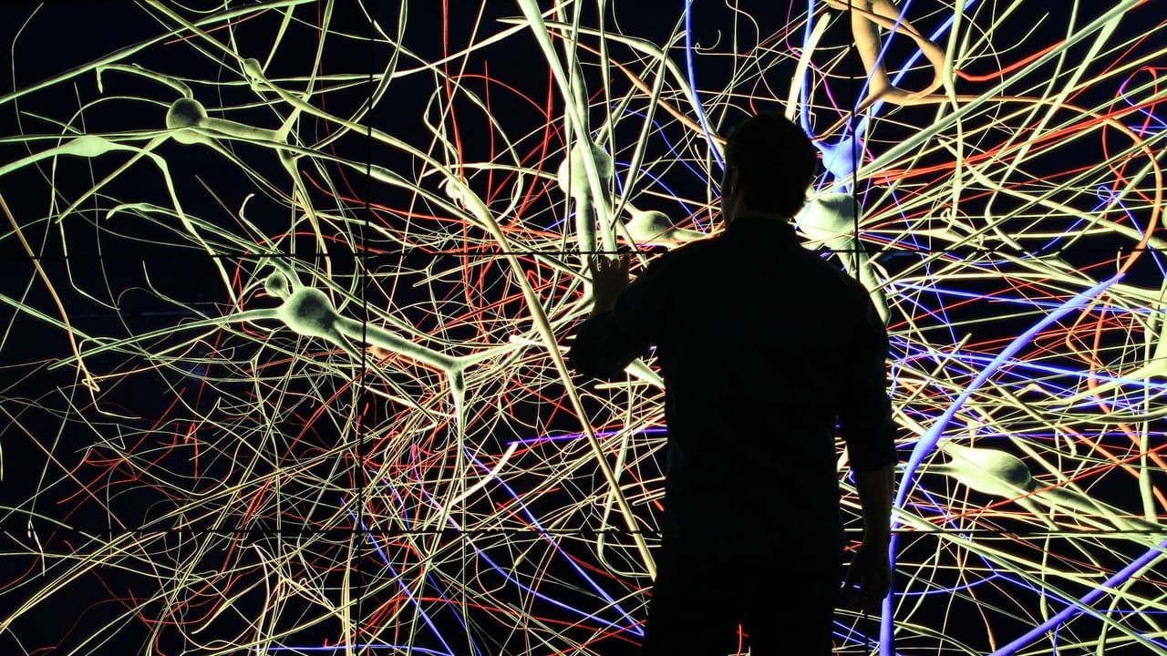 The Brain with Dr. David Eagleman