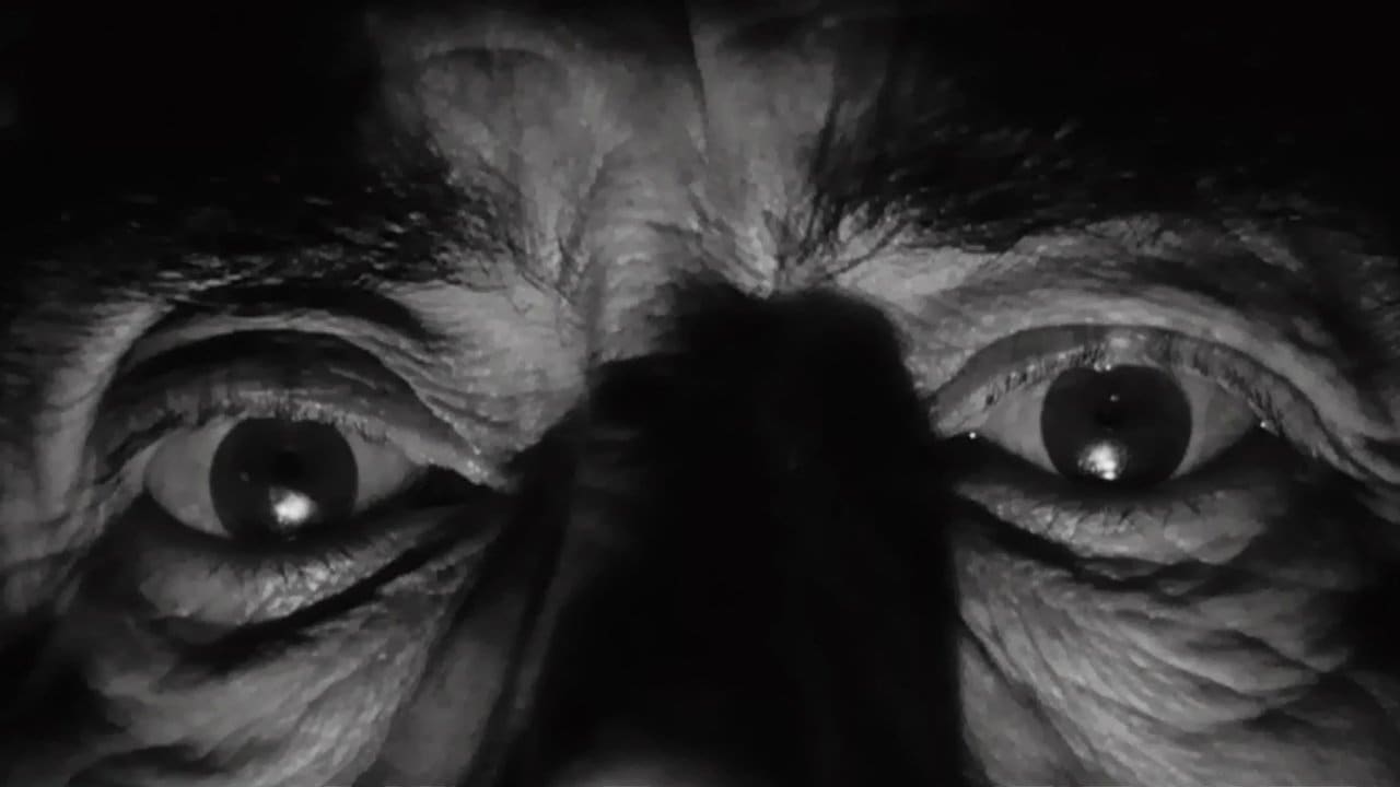 Scream of Fear