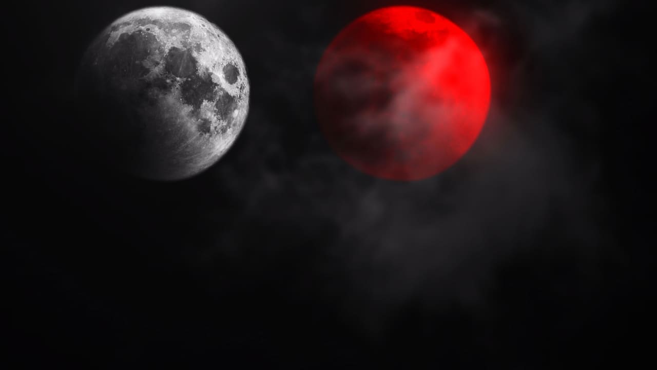 DUAL