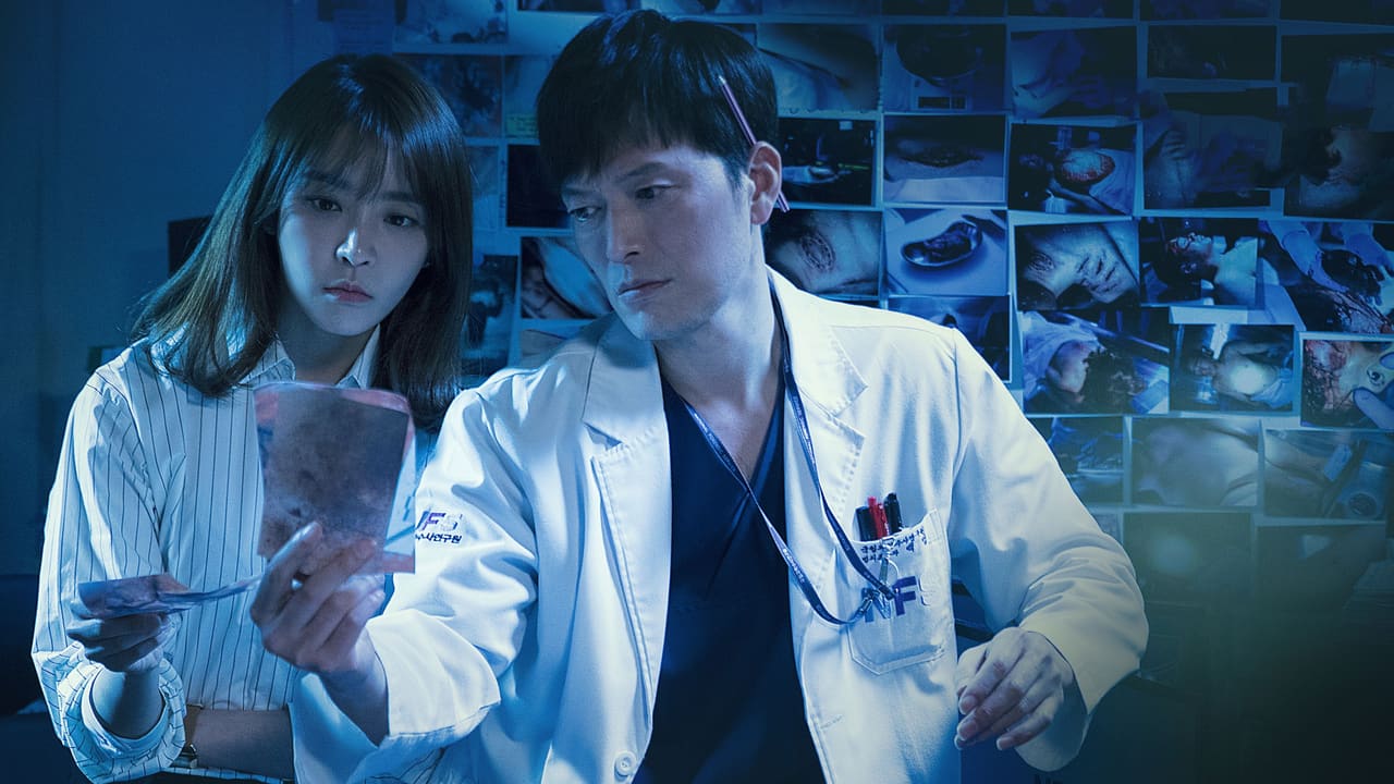 Investigation Partners