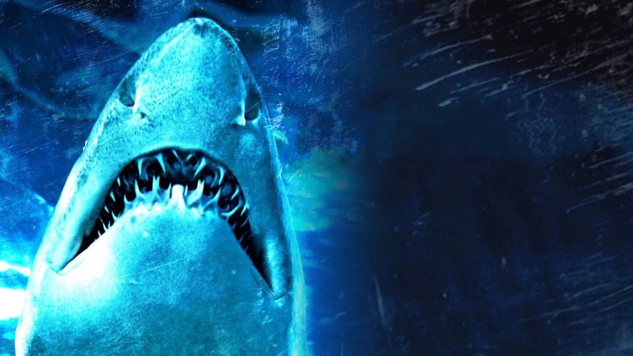 Dam Sharks