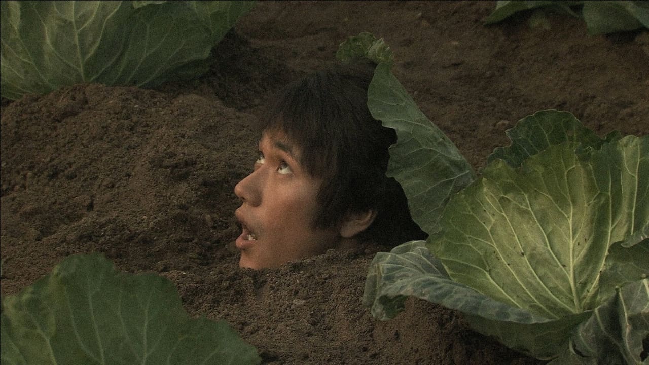 Urutora mirakuru rabu sutôrî