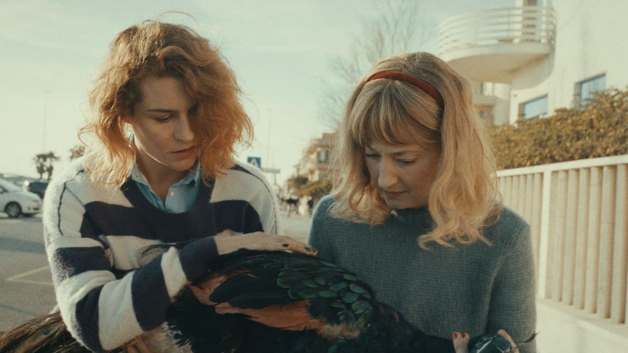 The Peacock's Paradise