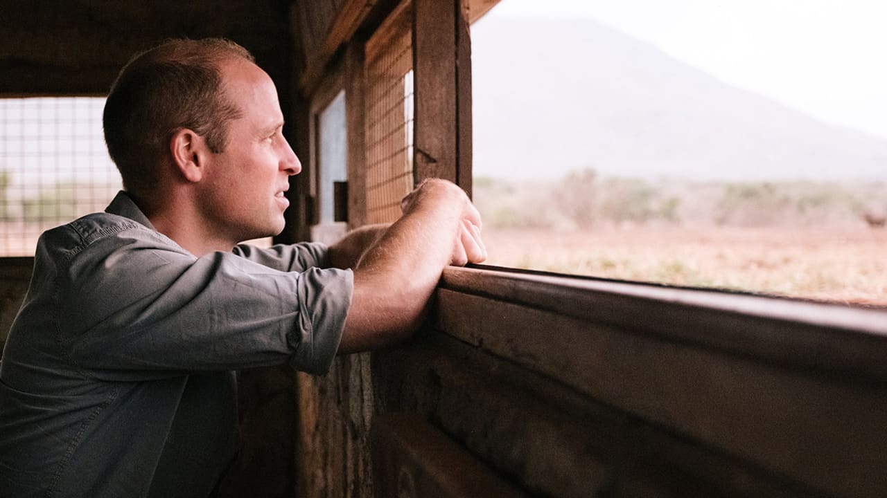 Prince William: A Planet for Us All