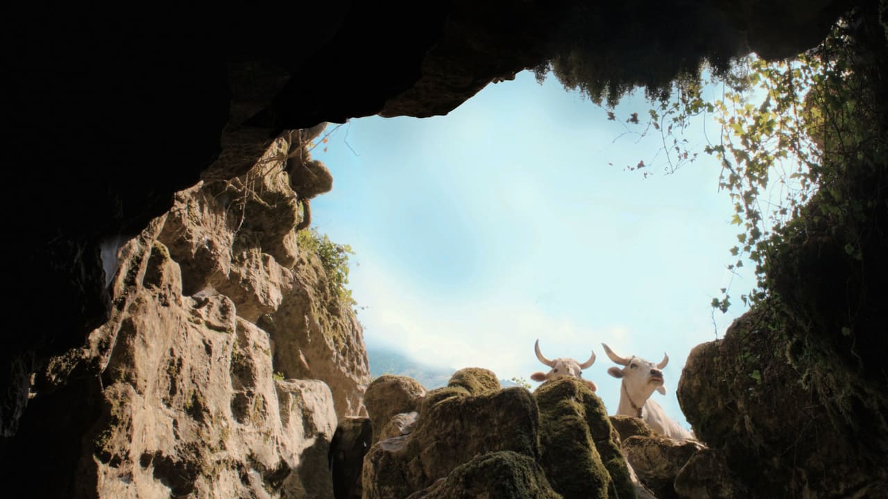The Hole