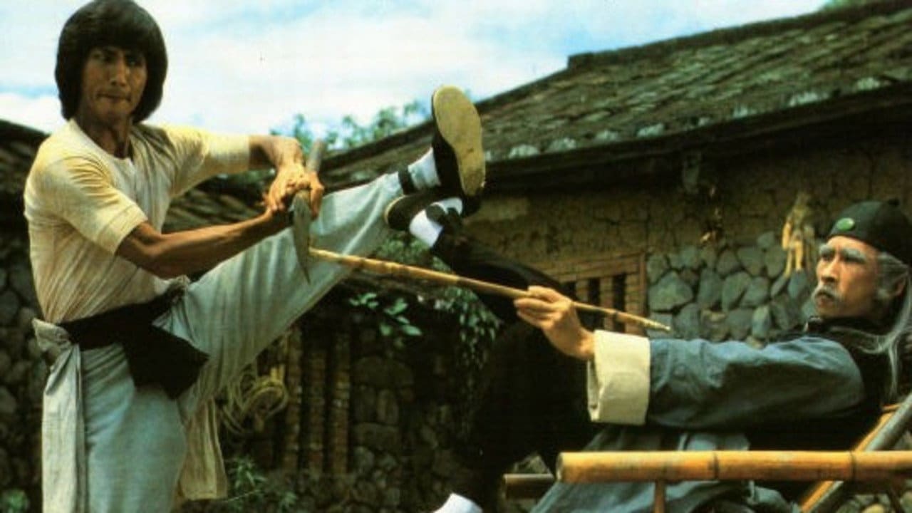 Tao tie gong