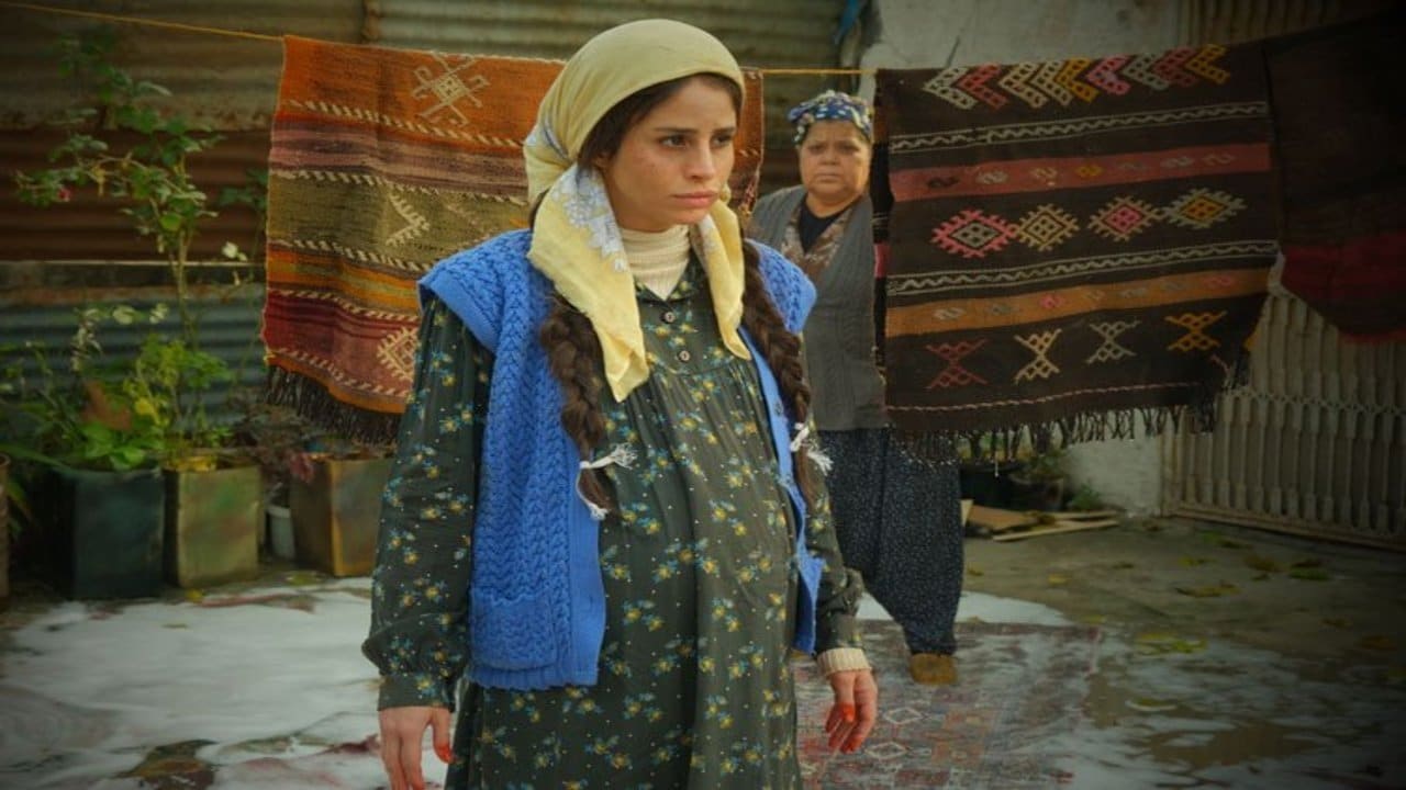Dilberay Küçük Dev Kadin