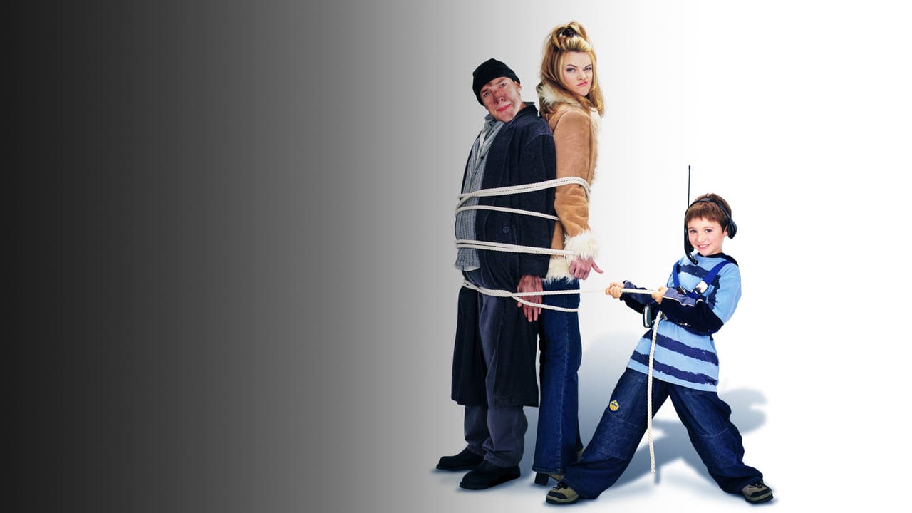 Home Alone 4: Taking Back the House