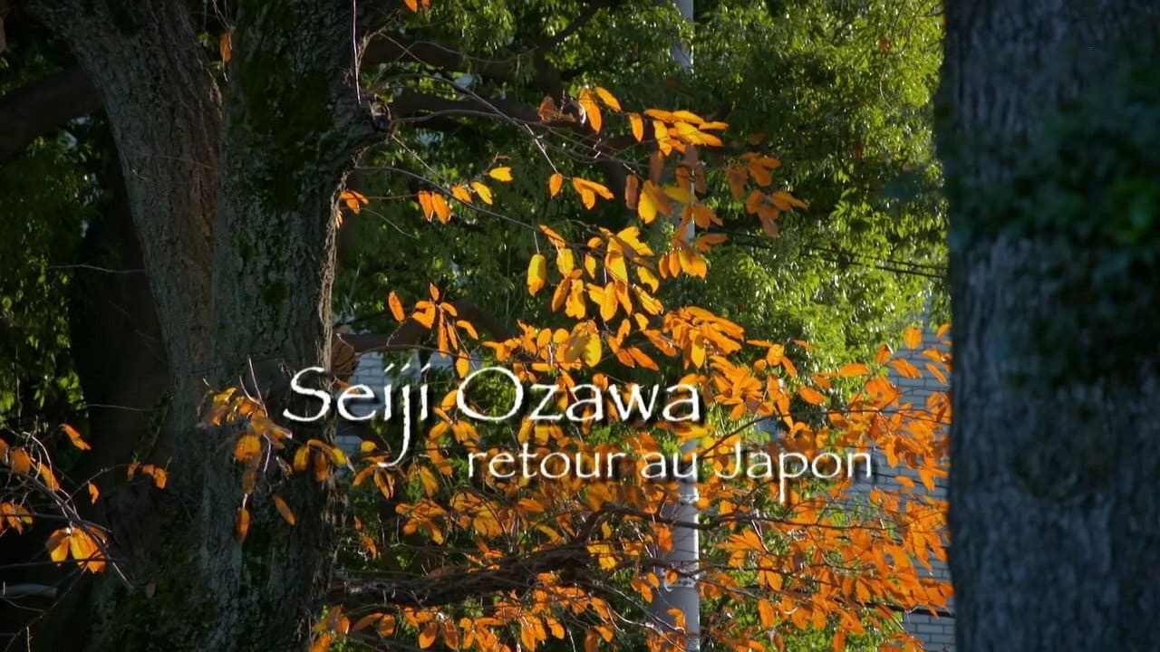 Seiji Ozawa - Retour au Japon
