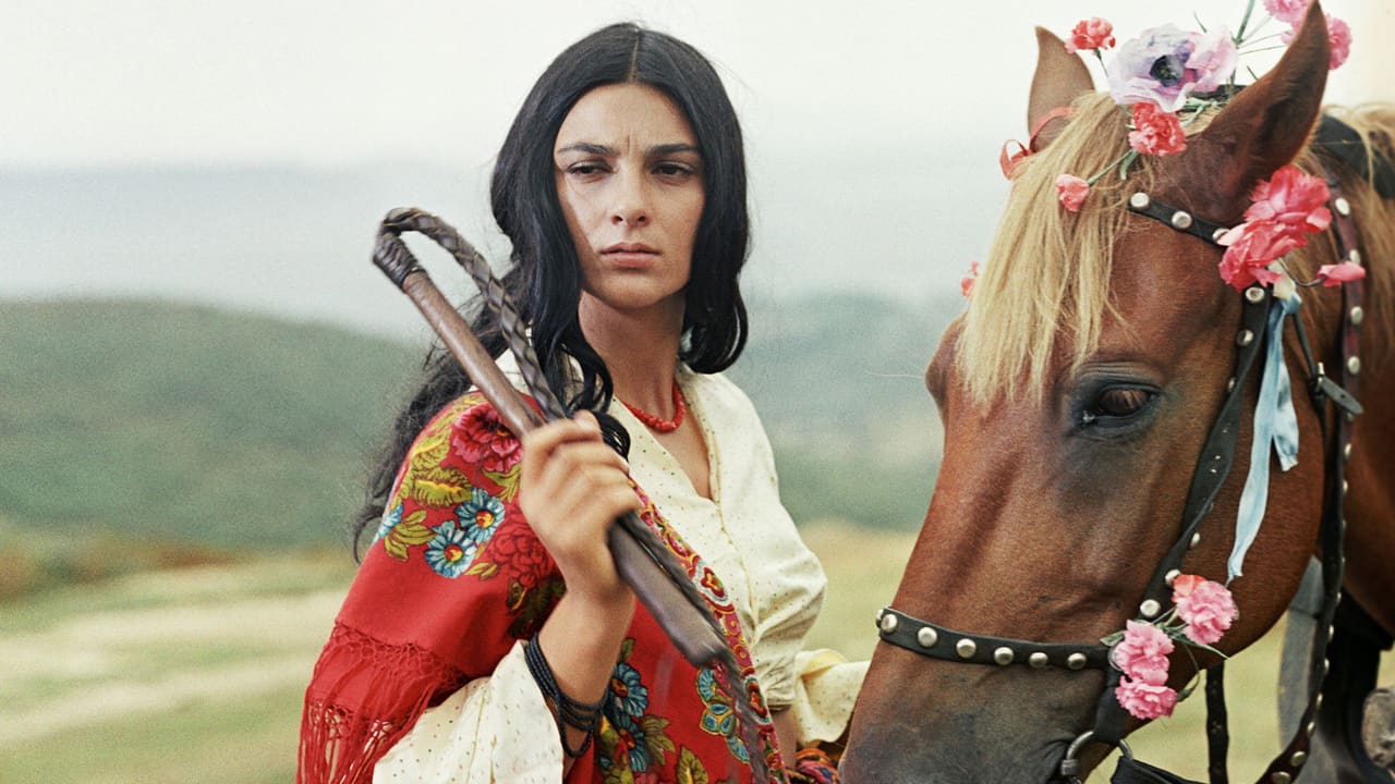 Queen of the Gypsies