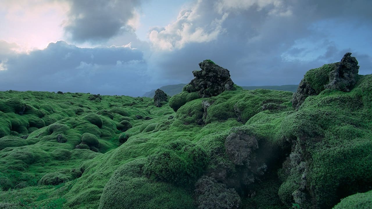 Voyage of Time