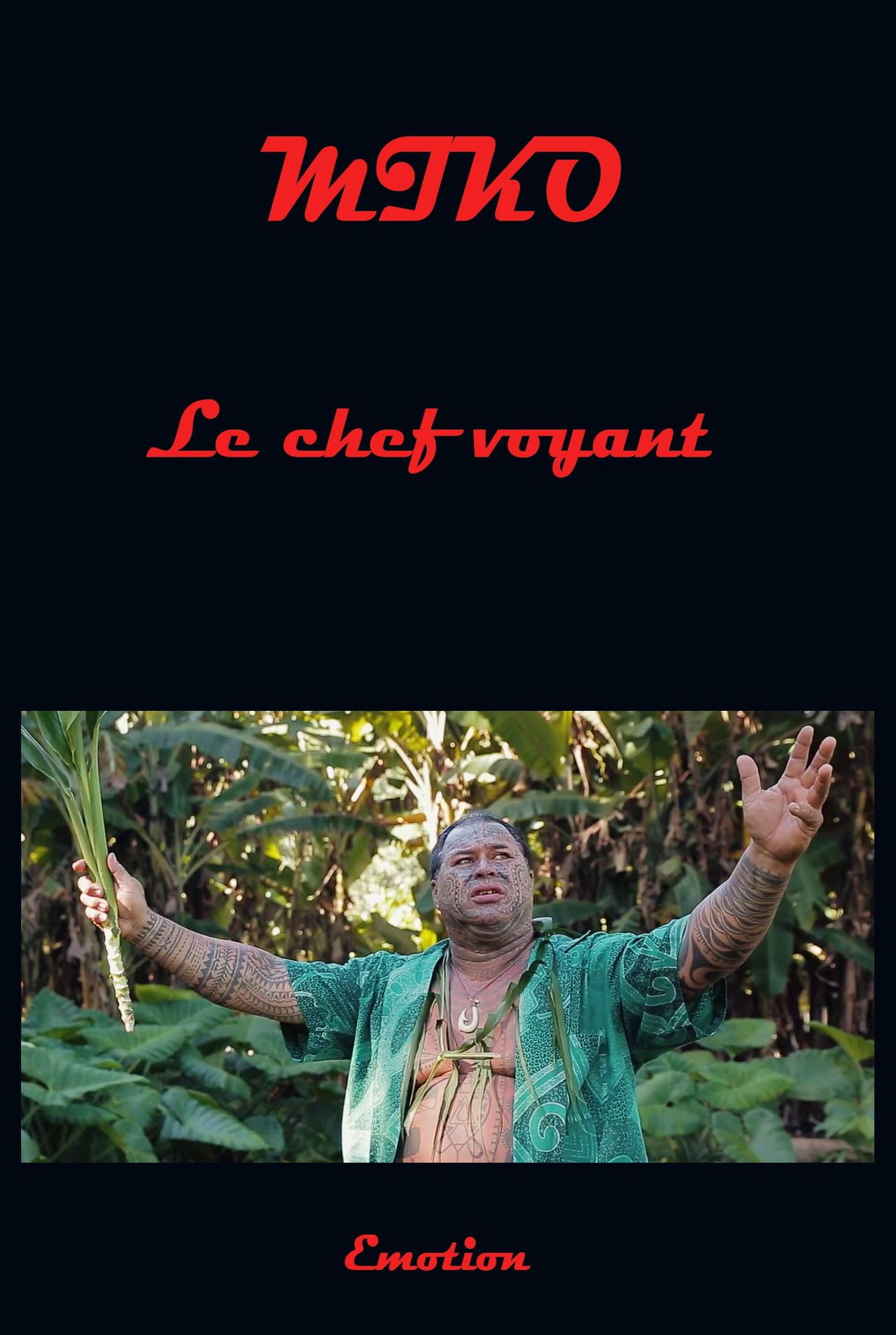 Miko, le chef voyant