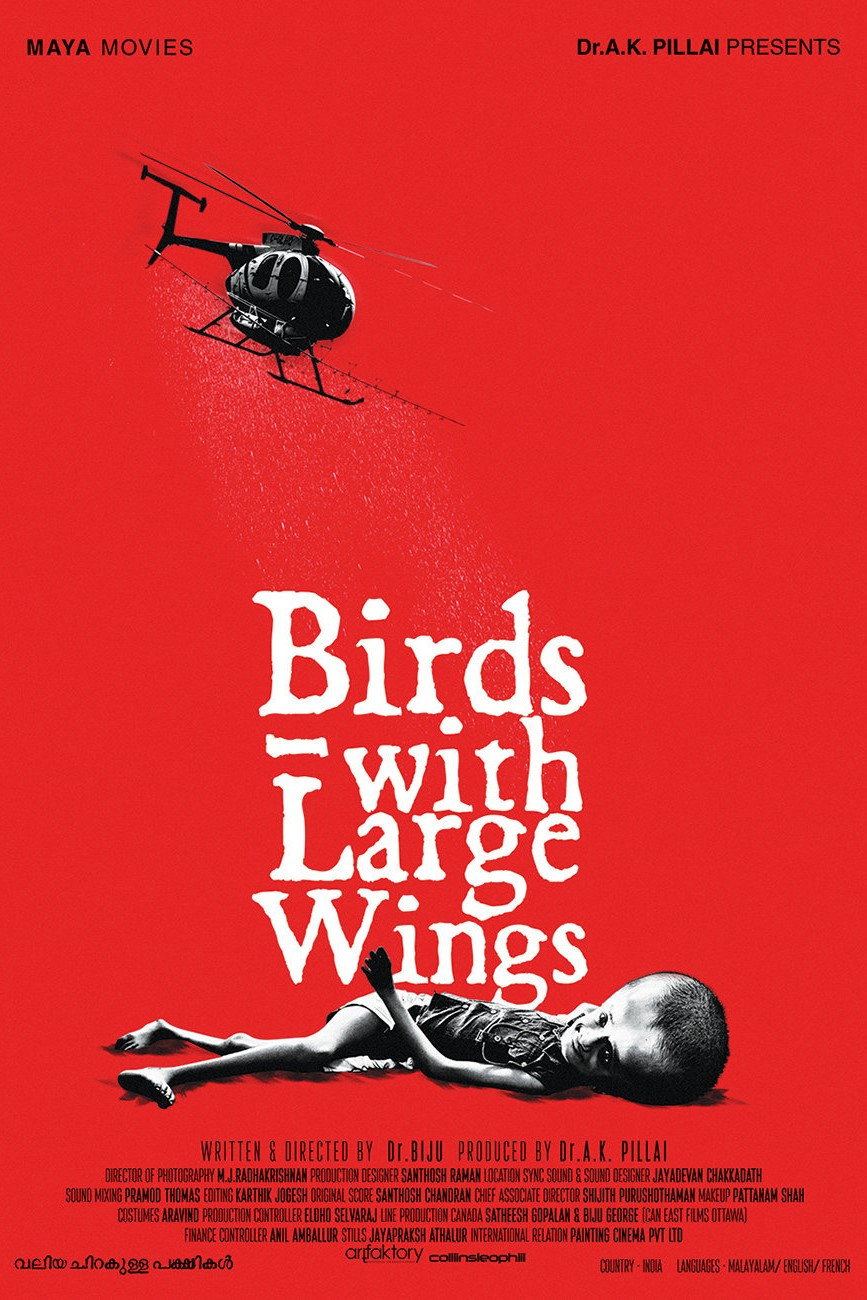 Birds with Large Wings