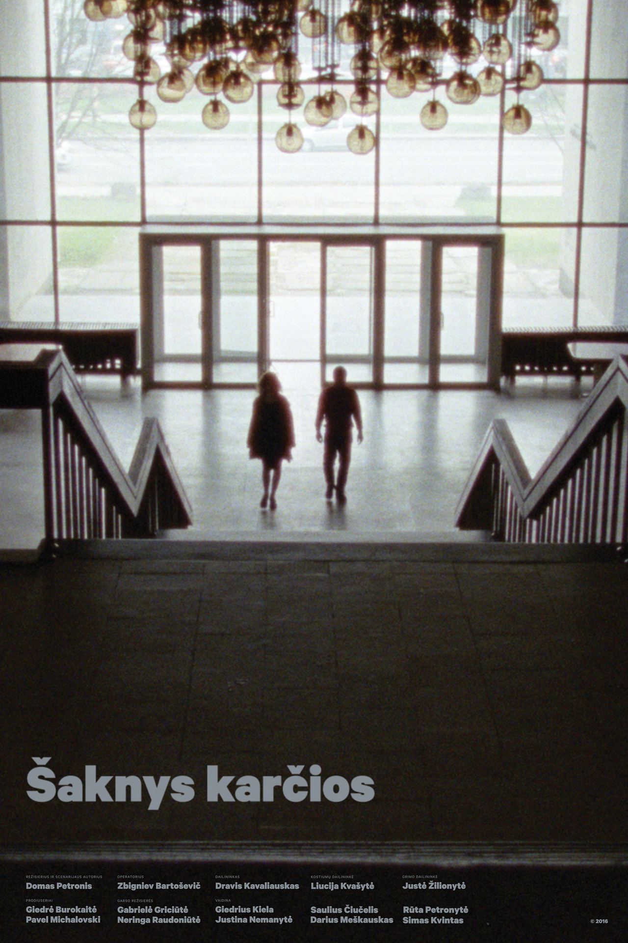 Saknys karcios