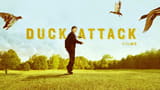 Duck Attack Films