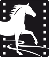 Little Horse Crossing the River