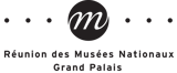 Rmn-GP