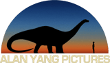 Alan Yang Pictures