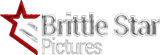 Brittle Star Pictures