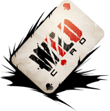 Studio Wildcard