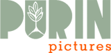 Purin Pictures