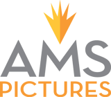 AMS Pictures