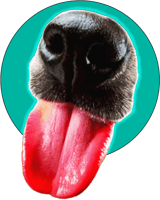 Dog Unlimited