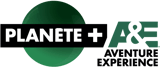 Planète+ A&E
