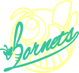 HORNETS