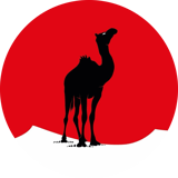 Black Camel Pictures