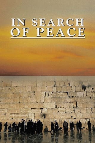 In Search of Peace