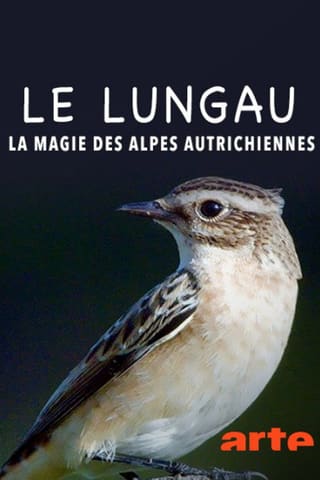 Lungau - Wildnis im Herzen der Tauern