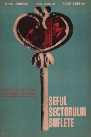 Seful sectorului suflete