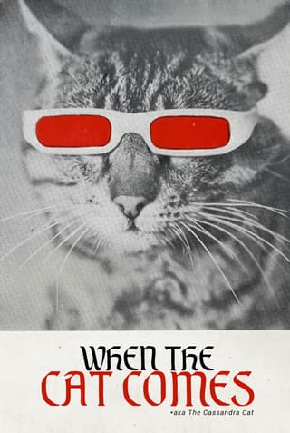When the Cat Comes