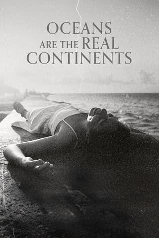 Oceans Are the Real Continents