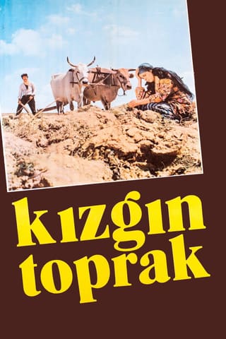 Kizgin toprak