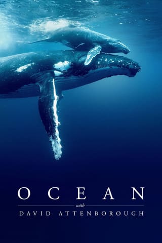Ocean with David Attenborough