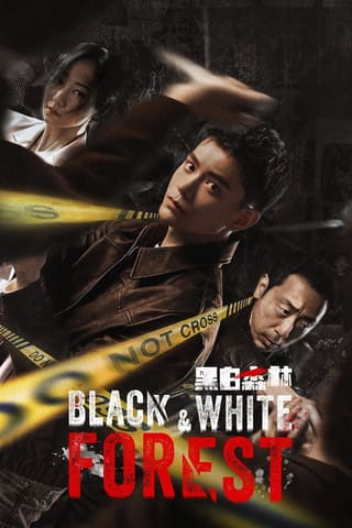 Black & White Forest (2024)