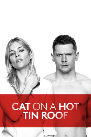 Cat on a Hot Tin Roof