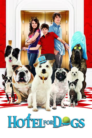 Hotel for Dogs