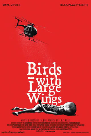 Birds with Large Wings