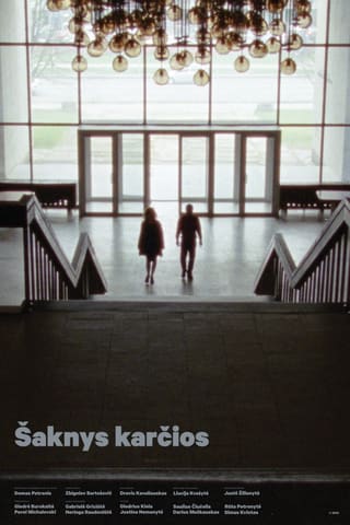 Saknys karcios