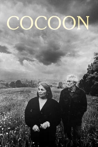 Cocoon