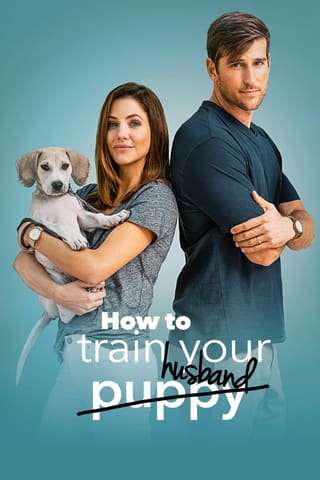 How to Train Your Husband or (How to Pick Your Second Husband First)