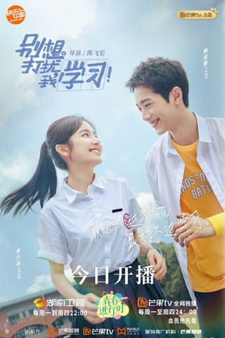 Don't Disturb My Study (2021)